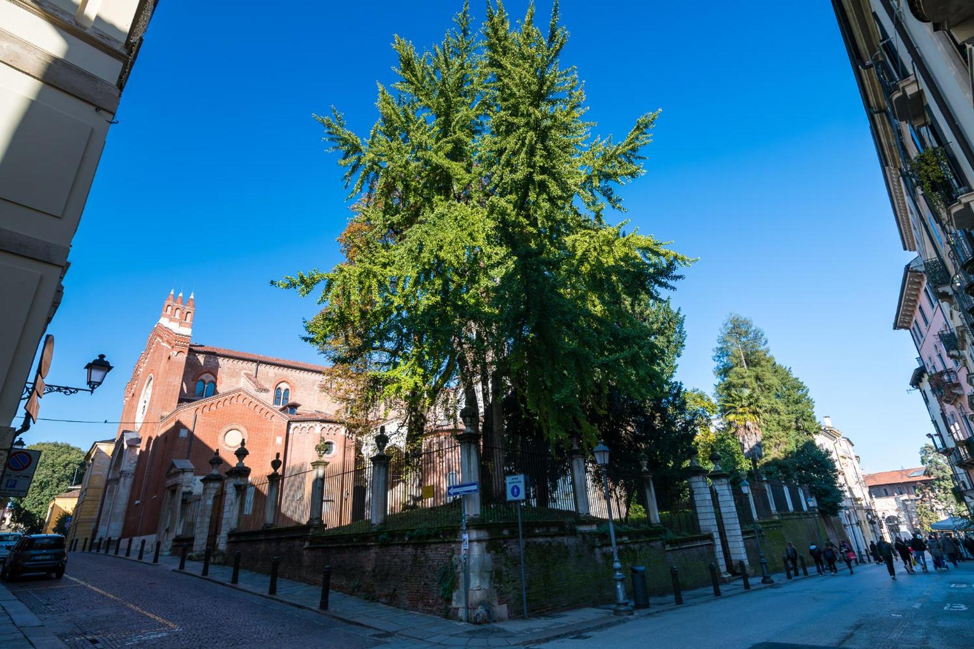 Residenza Corso Palladio 159 วิเชนซา ภายนอก รูปภาพ